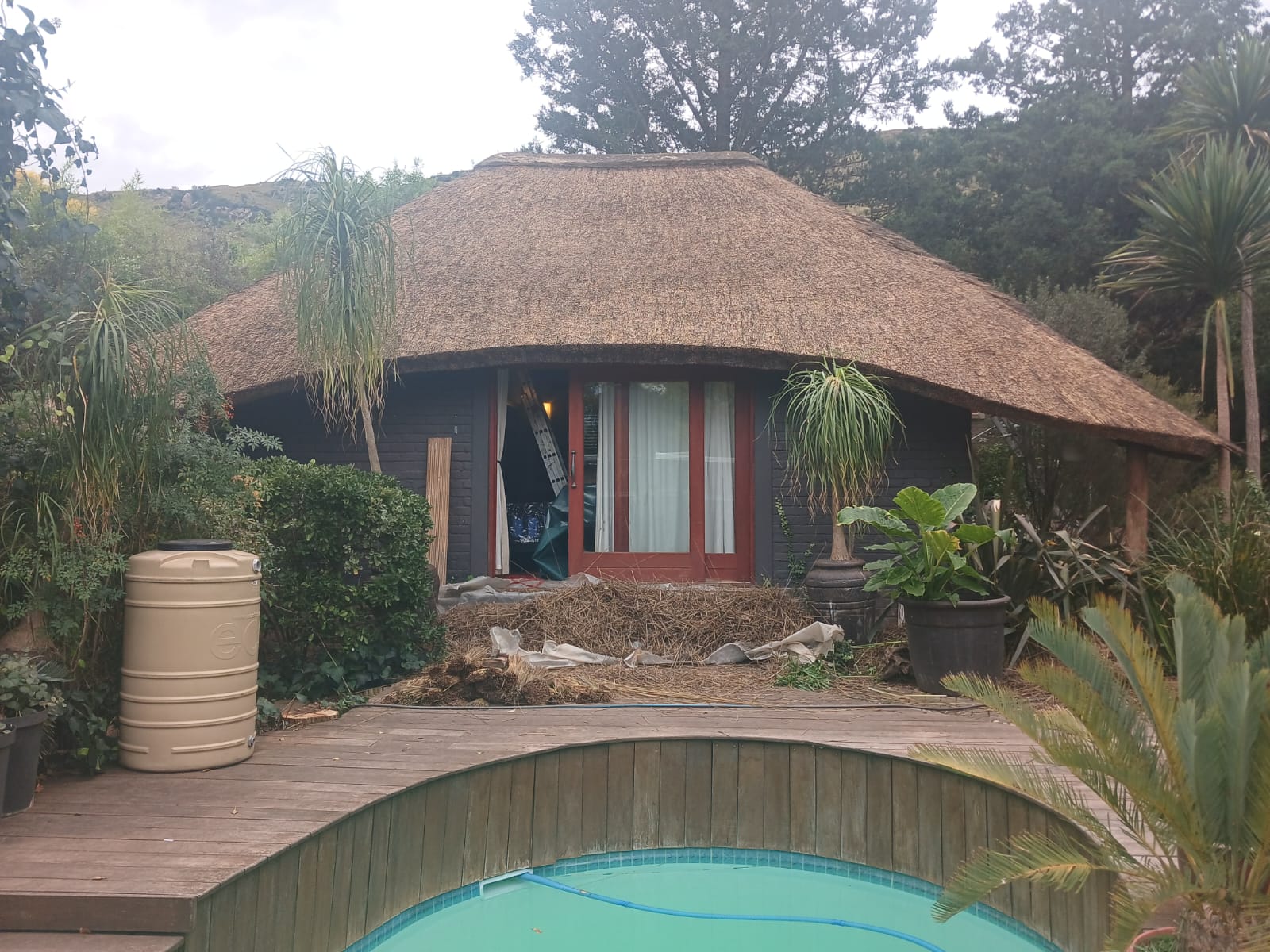 Kei Thatching project 61