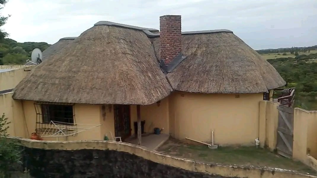 Kei Thatching project 52