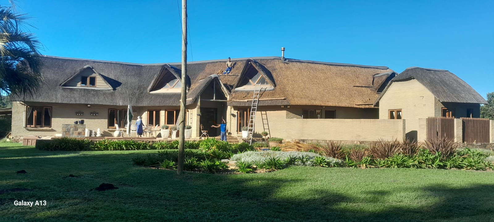 Kei Thatching project 50