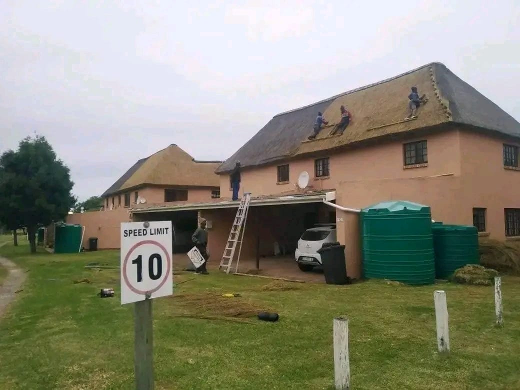 Kei Thatching project 47