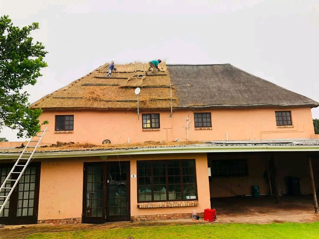 Kei Thatching project 44
