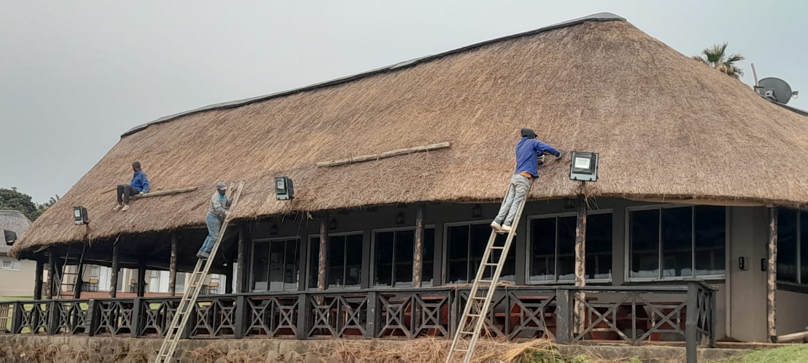Kei Thatching project 42