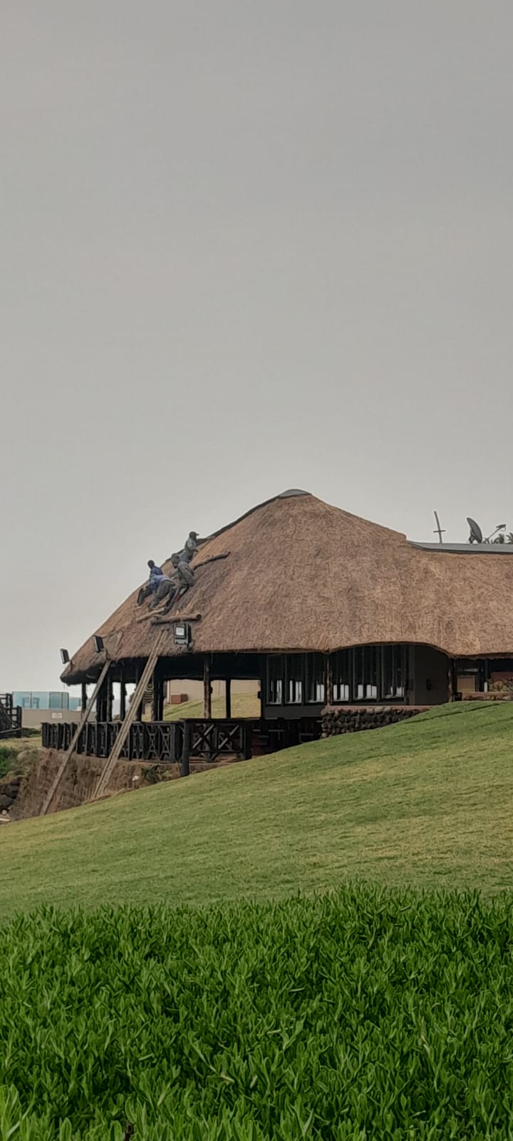 Kei Thatching project 40