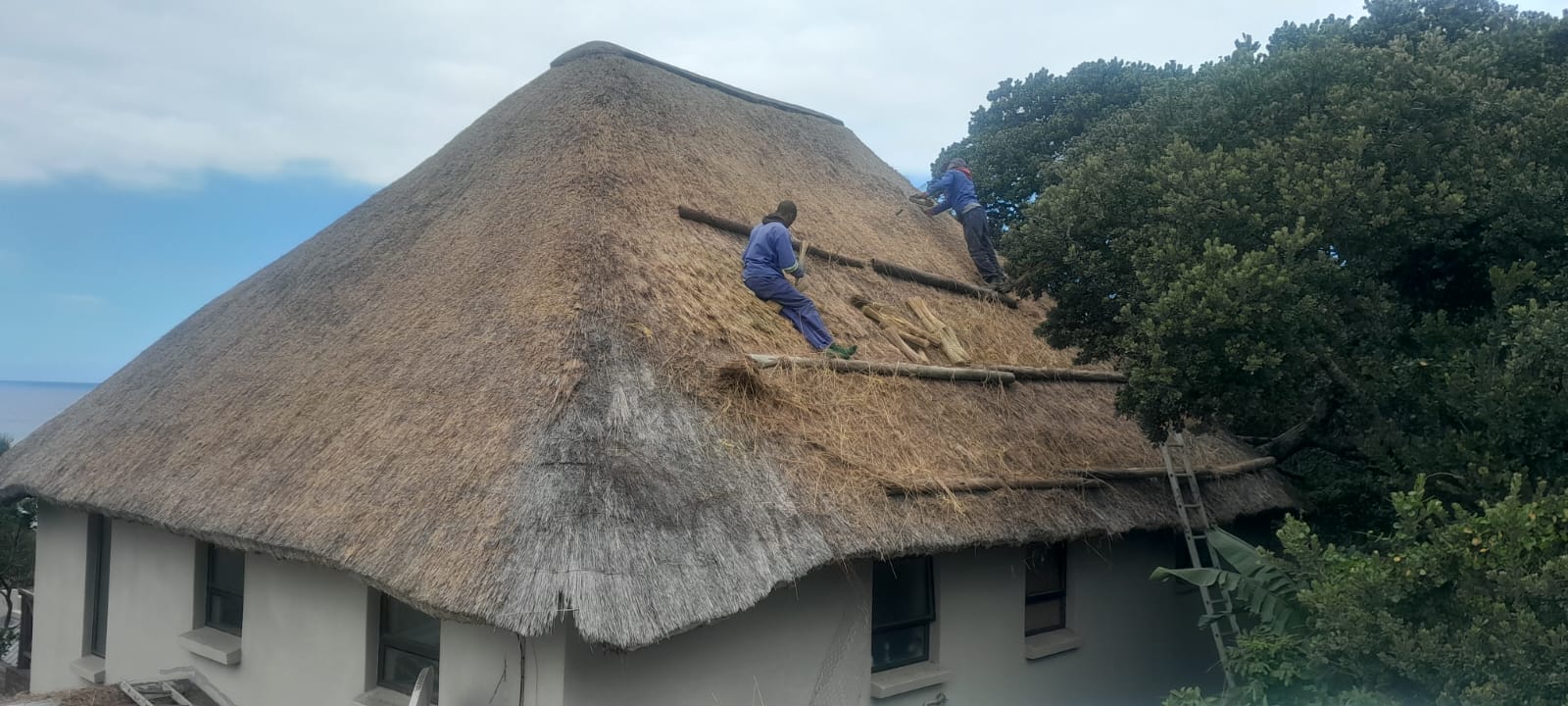 Kei Thatching project 37