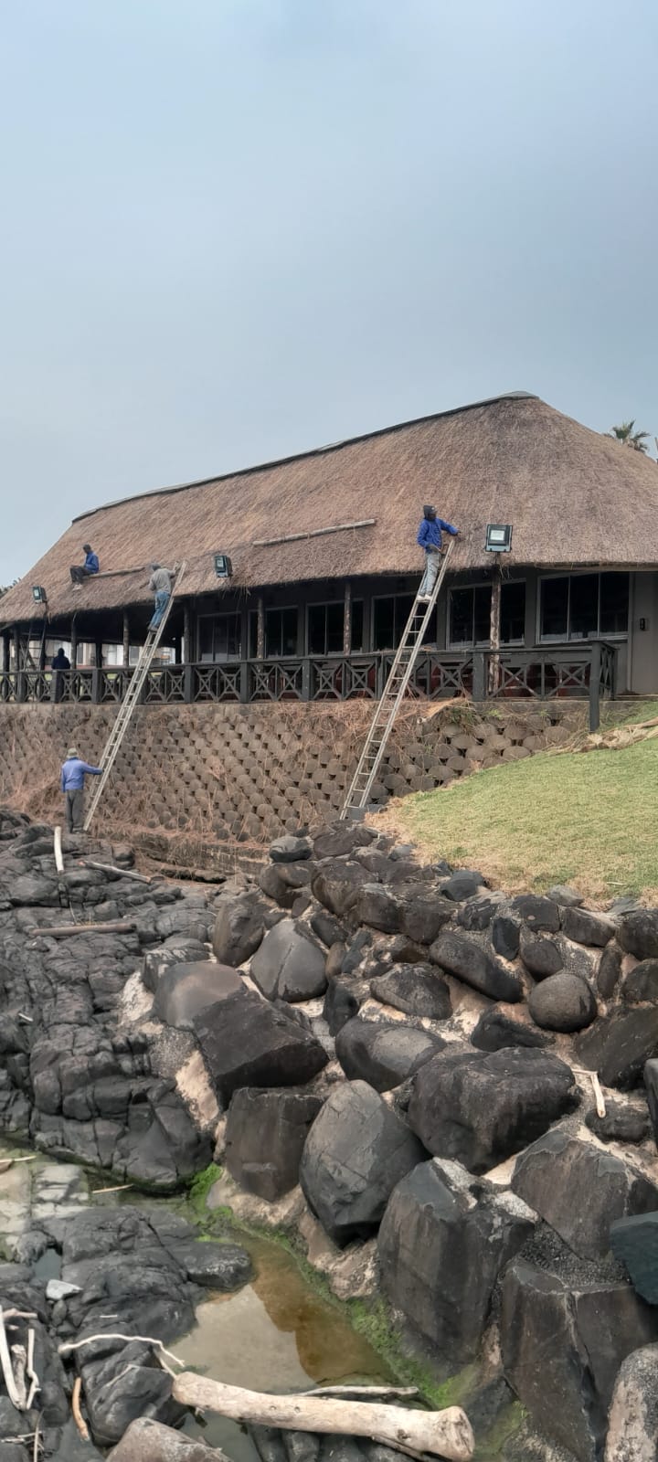 Kei Thatching project 36