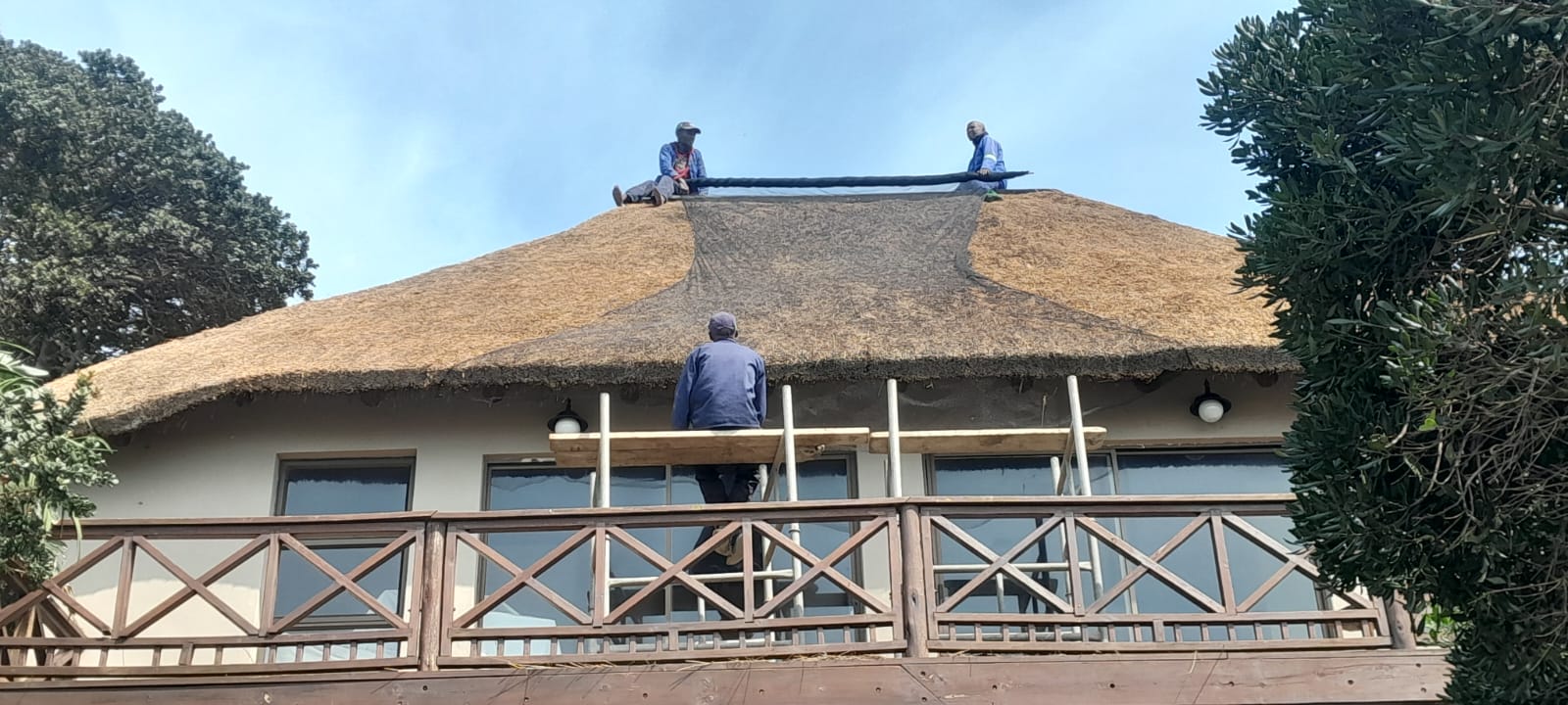 Kei Thatching project 35