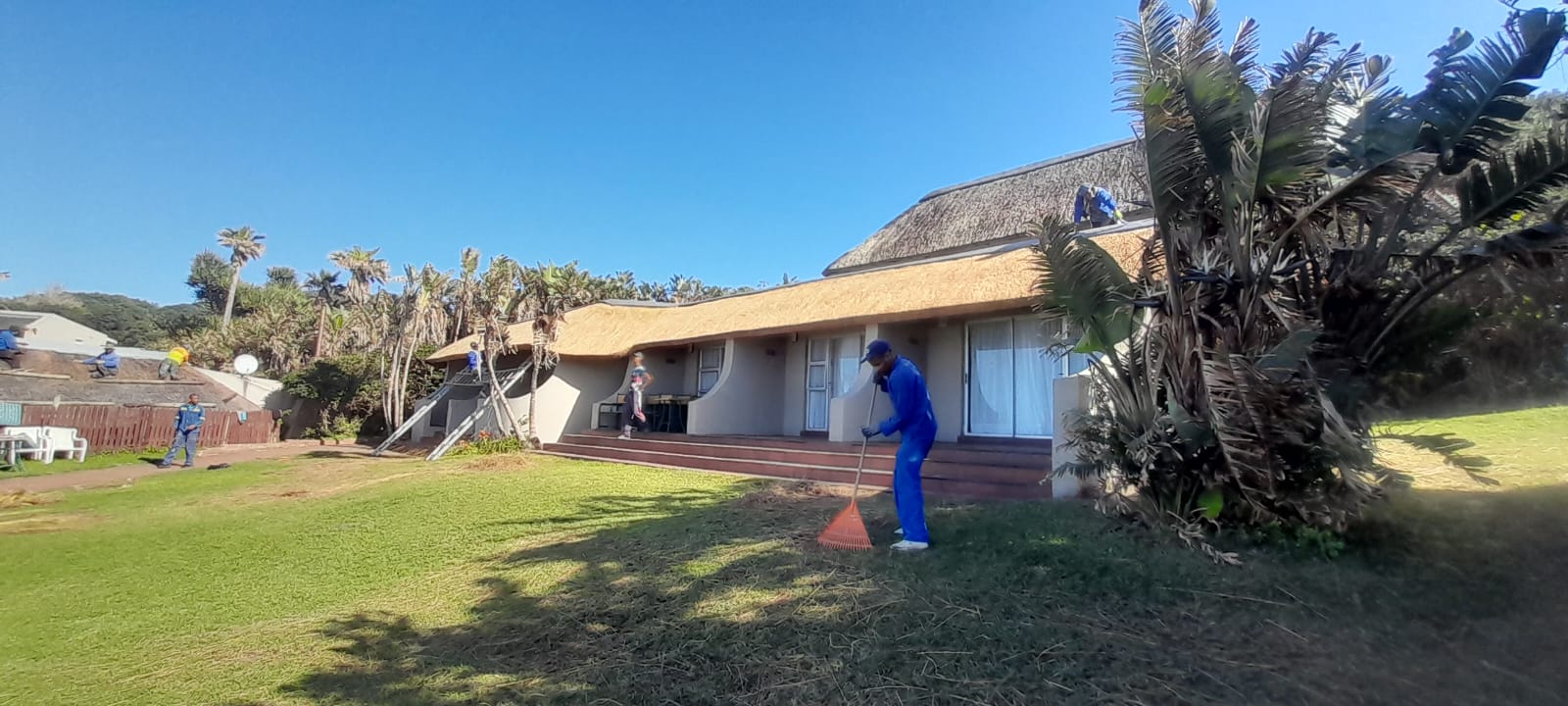 Kei Thatching project 28