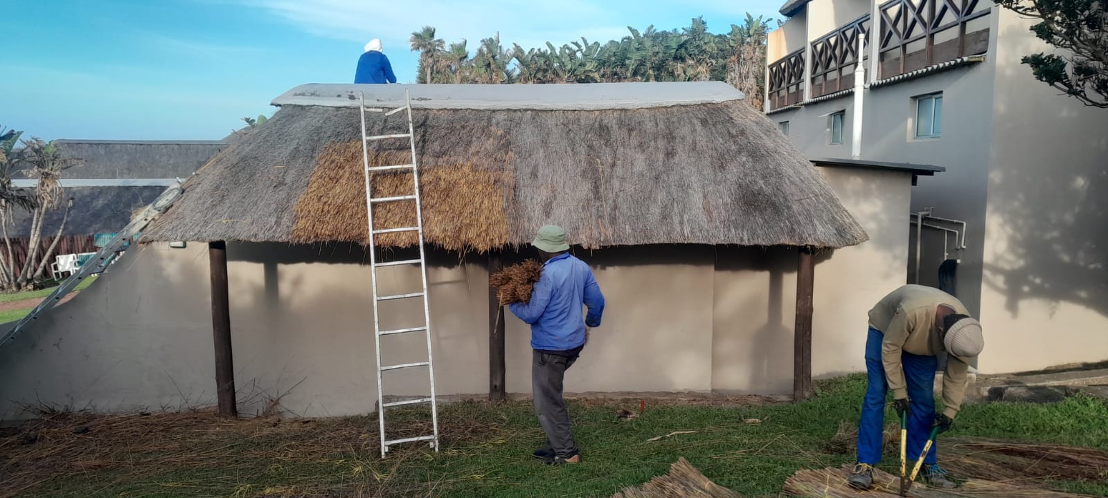 Kei Thatching project 26