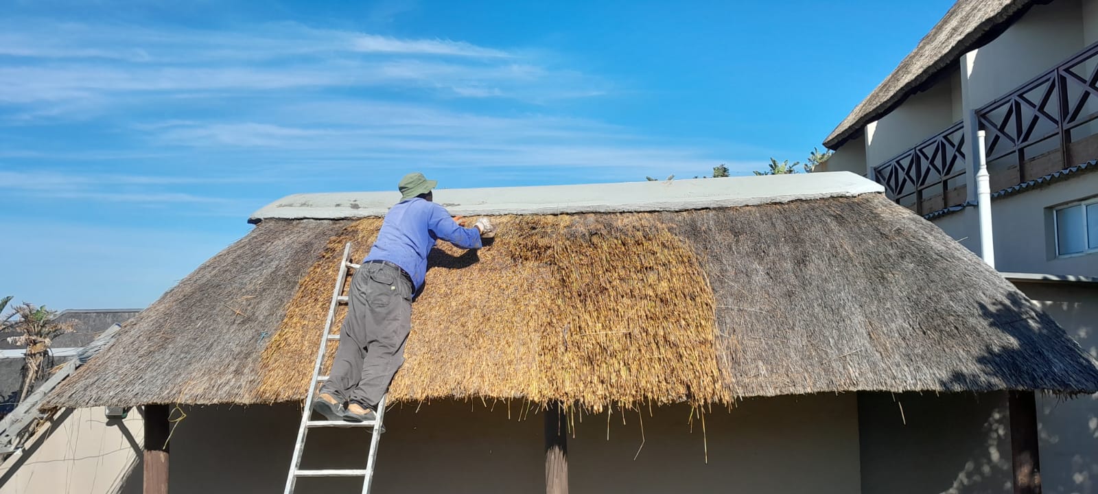 Kei Thatching project 25