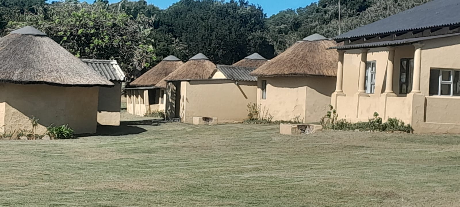 Kei Thatching project 24
