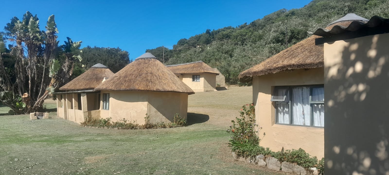 Kei Thatching project 23