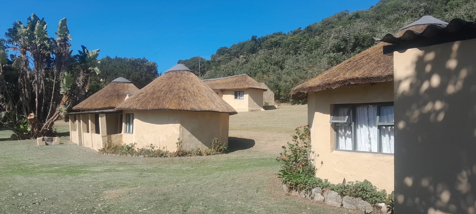 Kei Thatching project 22