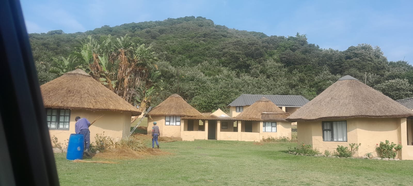 Kei Thatching project 21