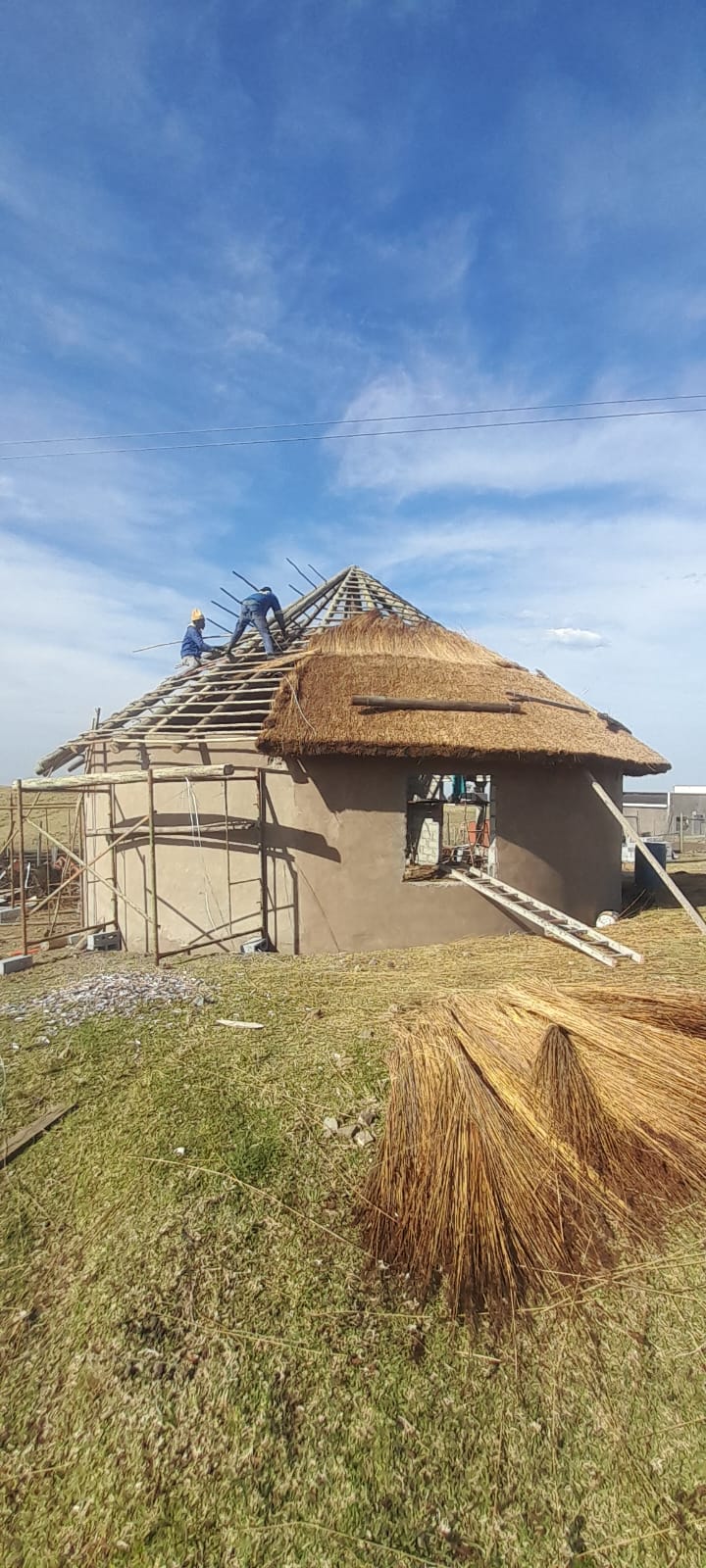 Kei Thatching project 4