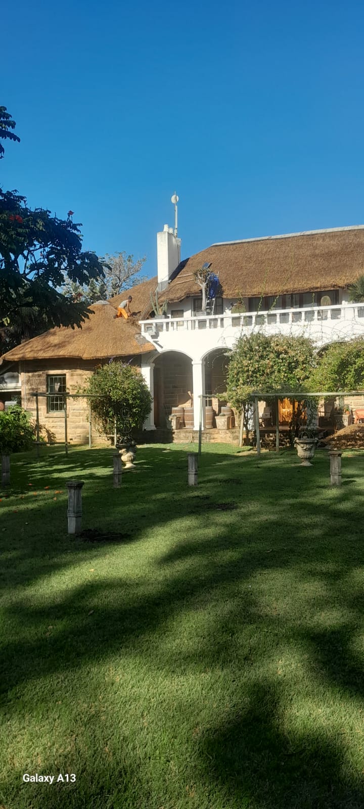 Kei Thatching project 8