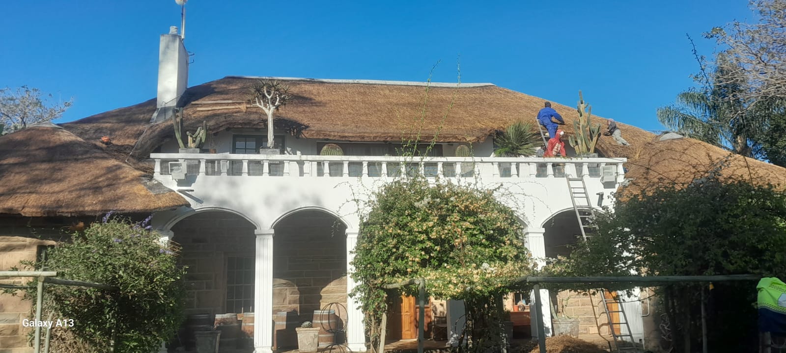 Kei Thatching project 1