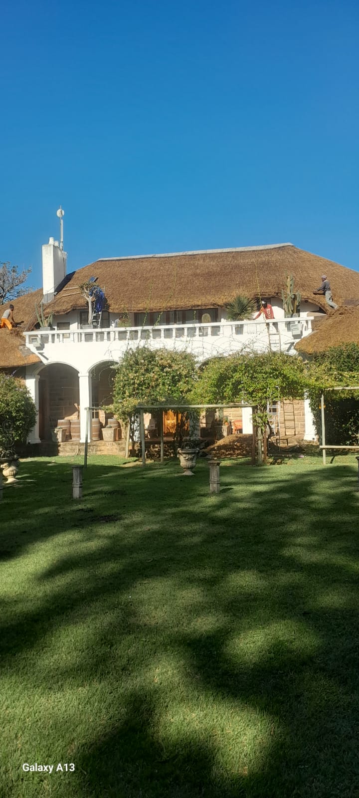 Kei Thatching project 4