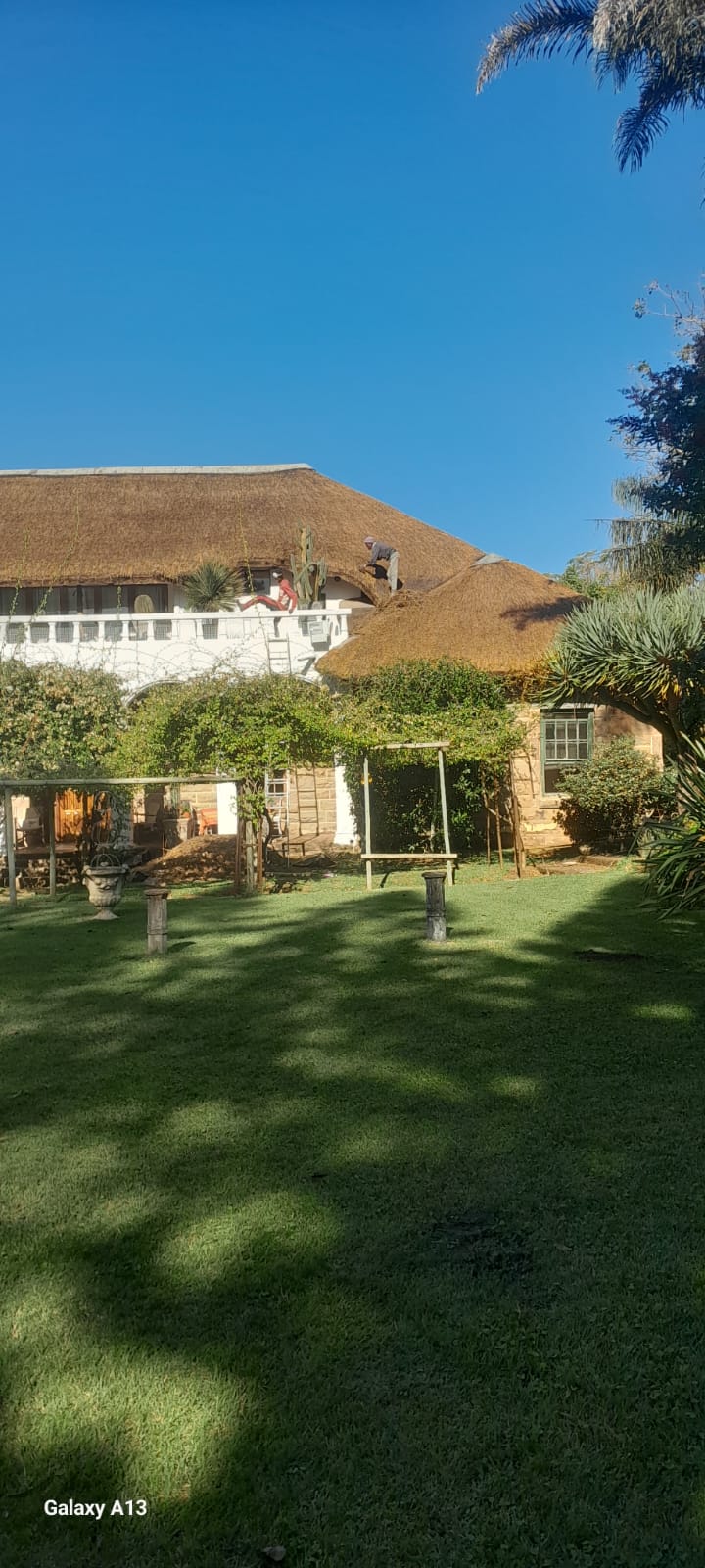 Kei Thatching project 3
